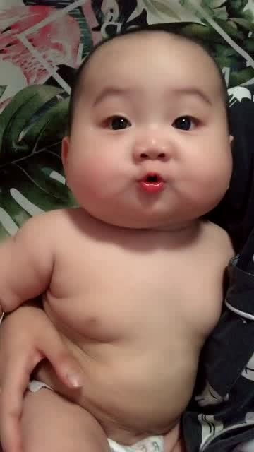 萌寶肥嘟嘟 白白嫩嫩豬寶寶，天真可愛惹人憐